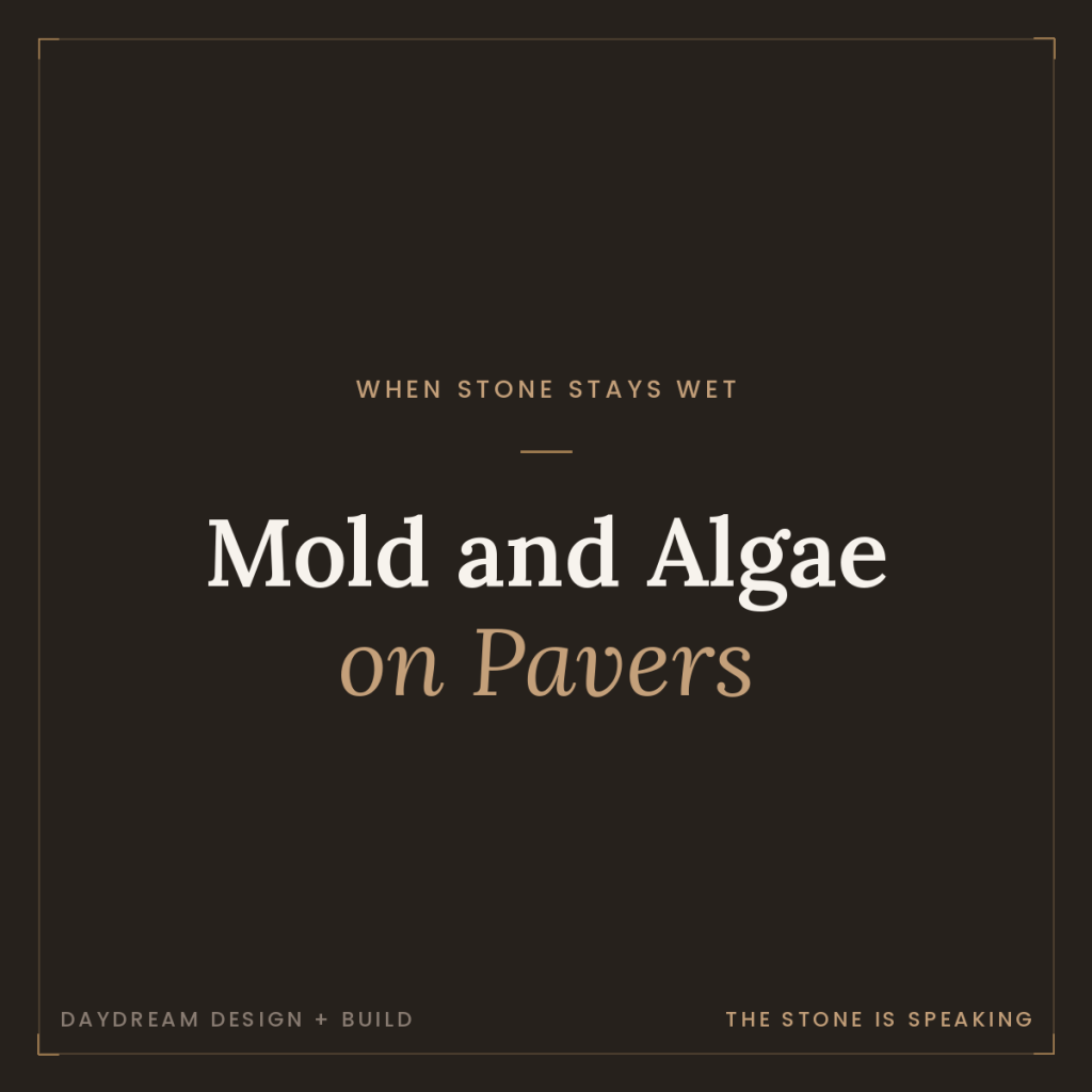 Why Do My Pavers Have So Much Mold and Algae? 8 Why Do My Pavers Have So Much Mold and Algae?